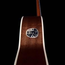 Godin Concert エレガット【オンラインストア限定】_4