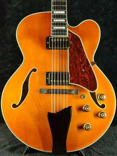 Ibanez AF95 -DA (Dark Amber)-【オンラインストア限定】