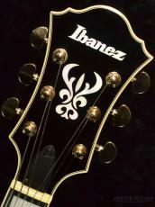 Ibanez AF95 -DA (Dark Amber)-【オンラインストア限定】_6