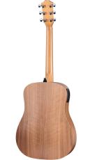 Taylor Academy 10e【オンラインストア限定】_2