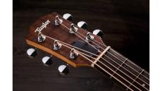 Taylor GS Mini Mahogany 【オンラインストア限定】_7