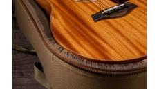 Taylor GS Mini Mahogany 【オンラインストア限定】_8