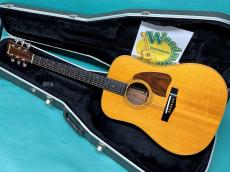Ibanez AW-100