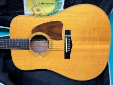 Ibanez AW-100_2