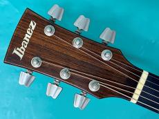 Ibanez AW-100_5