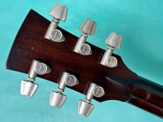 Ibanez AW-100_6