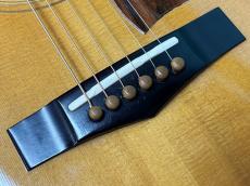 Ibanez AW-100_10
