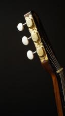 Stringphonic Advanced Oval Premium_10