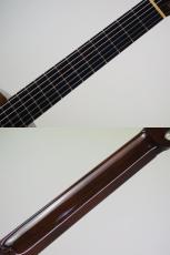 ARIA A-100C(管理番号5121)_5