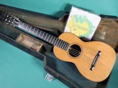 Martin 3-17