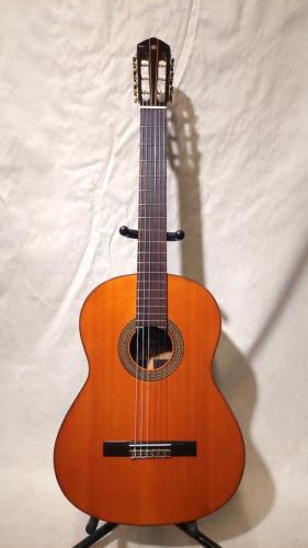 YAMAHA G-250