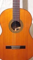 YAMAHA G-250_2