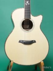 Furch Guitars RAINBOW GC-ER Custom "Remember G25 ERCT Custom"