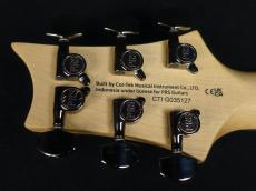 Paul Reed Smith [PRS] SE Swamp Ash CE 24 Sandblasted Limited Edition Sandblasted White 2024_9