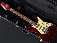 SCHECTER EX-22-CTM-FRT Black Cherry 2004_2