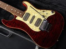 SCHECTER EX-22-CTM-FRT Black Cherry 2004_3