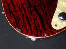 SCHECTER EX-22-CTM-FRT Black Cherry 2004_10