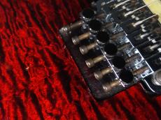 SCHECTER EX-22-CTM-FRT Black Cherry 2004_11