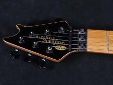 EVH Wolfgang WG Standard Silver Sparkle_5