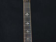 Taylor 912ce_5