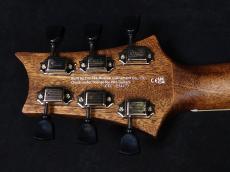 Paul Reed Smith [PRS] SE P20 Vintage Mahogany_9