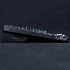 YAMAHA MG12_4