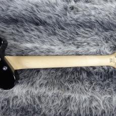 Pignose PGG-200MF【ロッキンオーダーモデル!!】_8