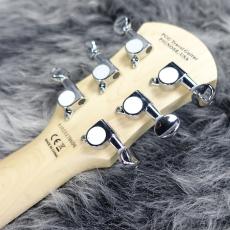 Pignose PGG-200MF【ロッキンオーダーモデル!!】_9