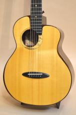 aNueNue aNN-M200_5