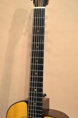 aNueNue aNN-M200_6