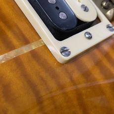 Paul Reed Smith [PRS] Private Stock Howard Leese Golden Eagle 1/100_9