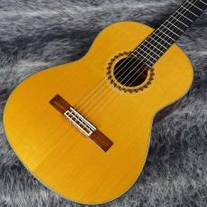 YAMAHA GCS-31_3