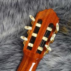 YAMAHA GCS-31_9