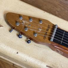 Gibson Skylark Custom Deluxe 1958_3