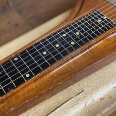 Gibson Skylark Custom Deluxe 1958_4