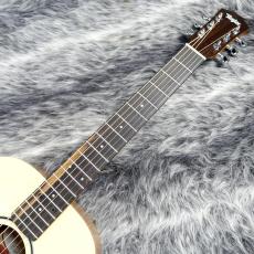 Taylor Baby Taylor BT1_2