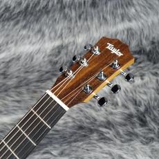 Taylor Baby Taylor BT1_3
