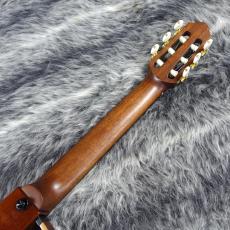 YAMAHA SLG200NW NT_6