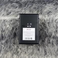 Maestro Ranger Overdrive_3