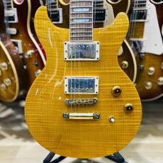 Gibson Les Paul Standard Double Cutaway_5