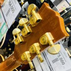 Gibson Les Paul Standard Double Cutaway_7