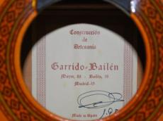 Darrido Bailen オール単板仕様_7