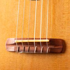 Hozen Label Guitalele Red Cedar Mexican Cocobolo_3