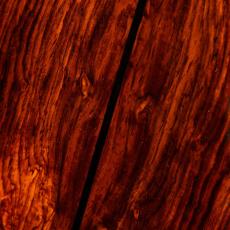 Hozen Label Guitalele Red Cedar Mexican Cocobolo_10