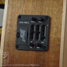 Maton EBG808C Artist_14