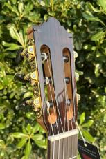 Aiersi Guitar SC02SSB-J【ラティスブレーシング】_5