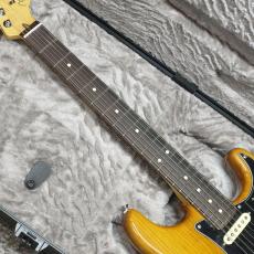 Fender American Professional II Stratocaster RW Roasted Pine_2