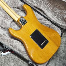 Fender American Professional II Stratocaster RW Roasted Pine_4