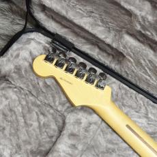 Fender American Professional II Stratocaster RW Roasted Pine_5