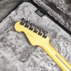 Fender American Professional II Stratocaster MN Roasted Pine_5